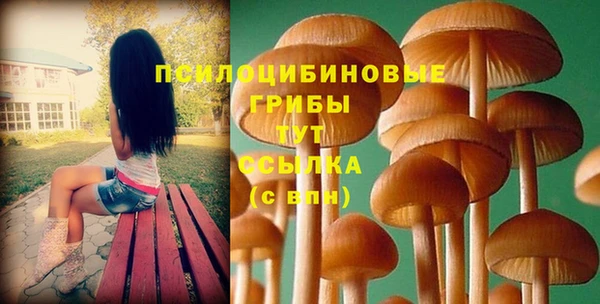 амф Алексеевка